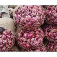 Onions