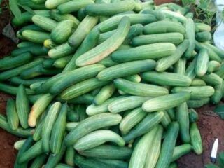 images-8