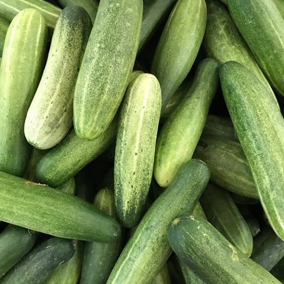 Fresh Organic Cucumber