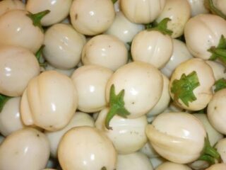 Garden-Egg