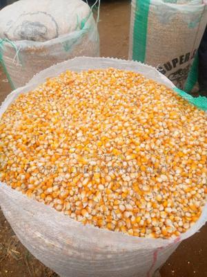 Dried Maize (Corn)
