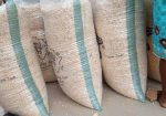 Dried Maize (Corn)