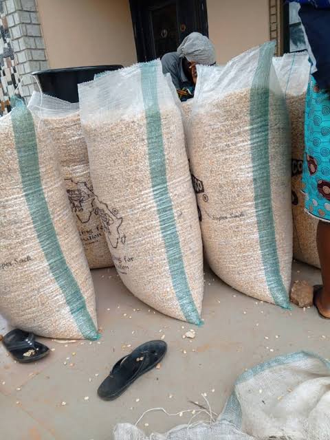 Dried Maize (Corn)