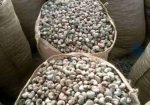 Cashew Nuts