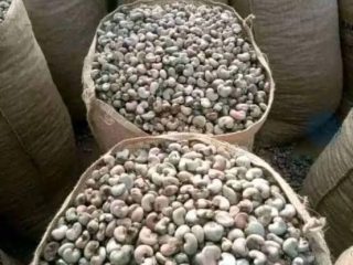 bag-of-cashew-nuts