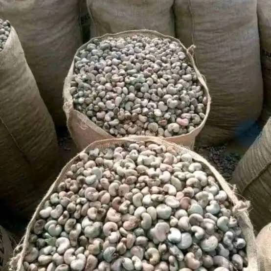 Cashew Nuts