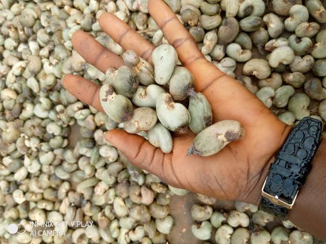 Cashew Nuts